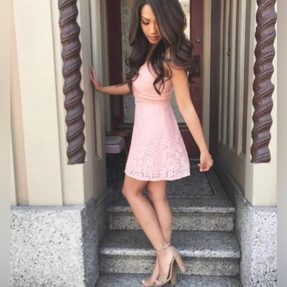 FRANCESCA'S  Malinda Metallic Lace Pink Dress SZ XS